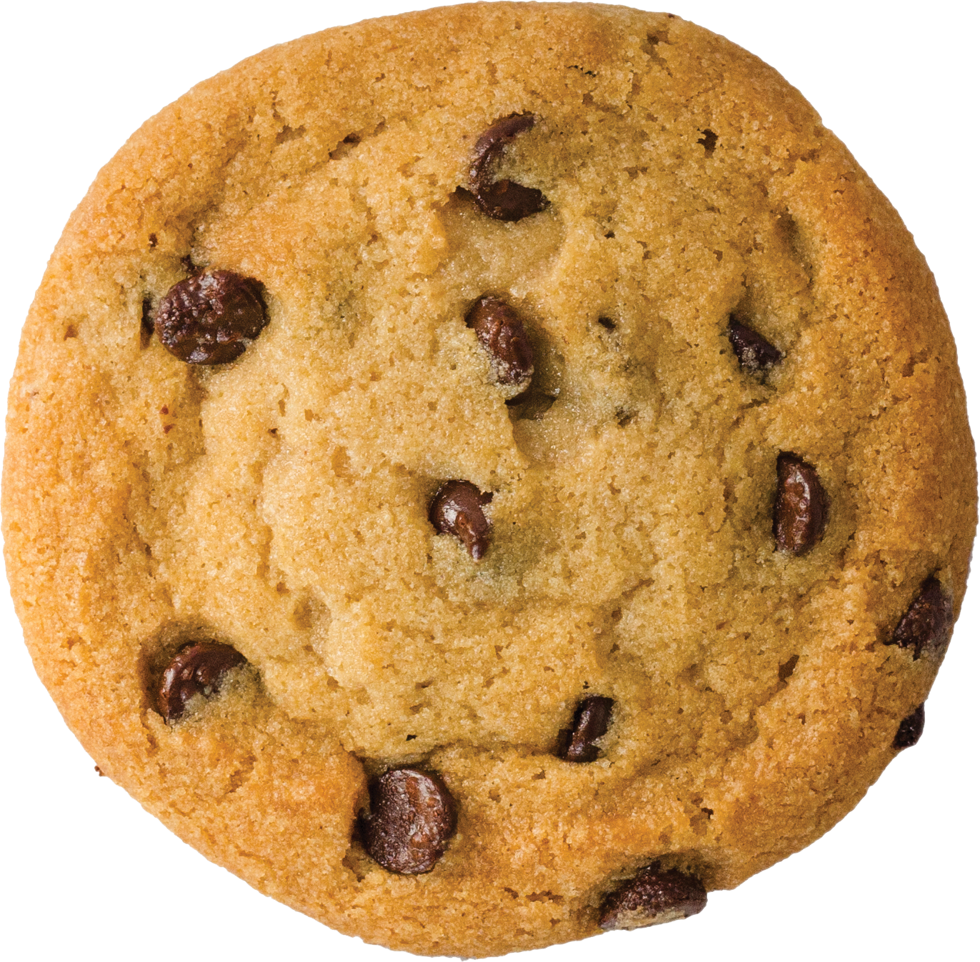 A chocolate chip cookie.